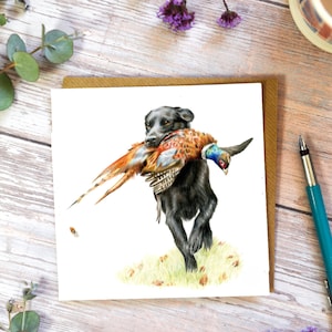 Black Labrador retrieving a Pheasant - Gundog greetings/birthday card.