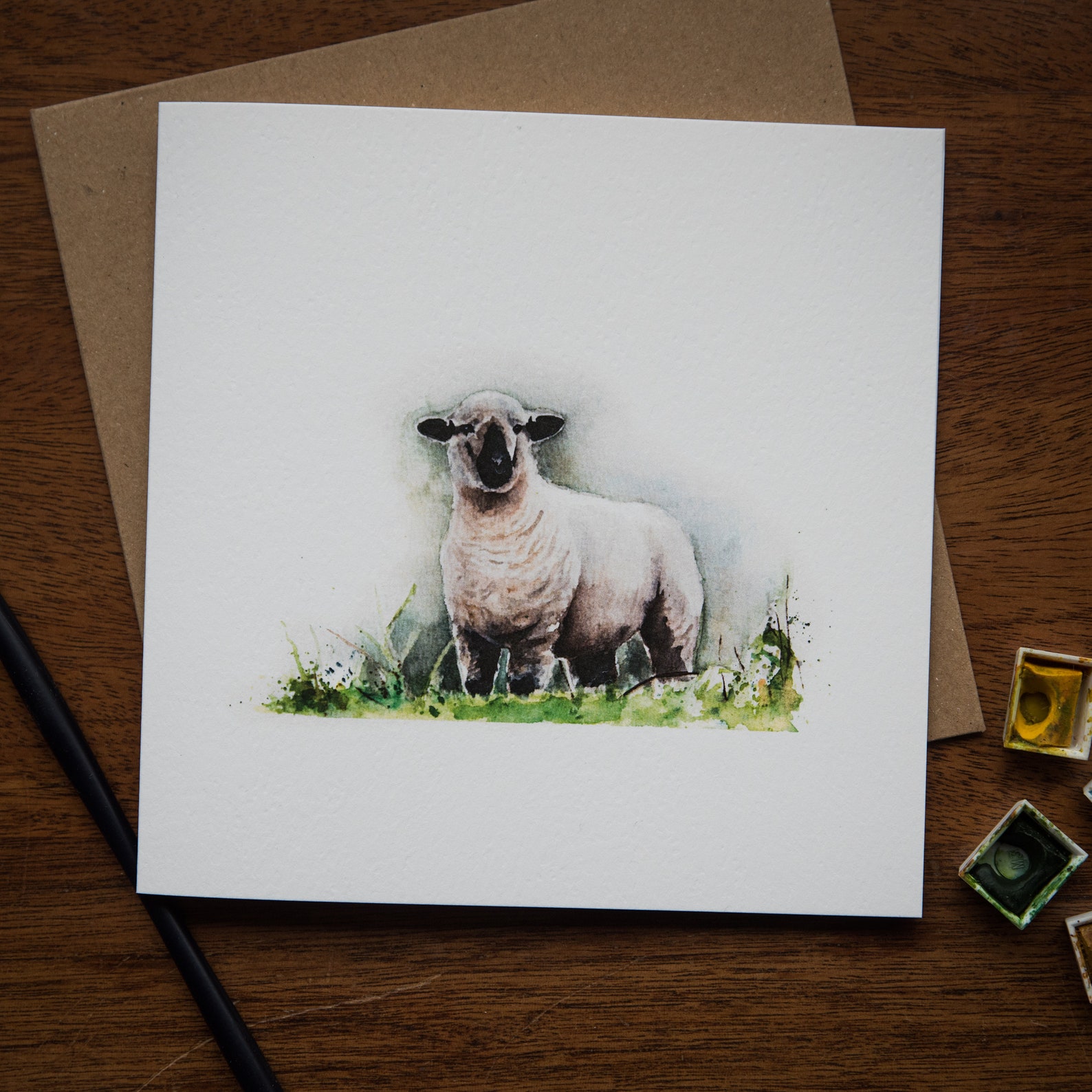 Why Everyone Is Talking About Hampshire Sheep - cn47mzl