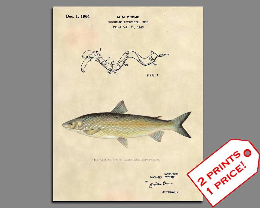 Fishing Wall Art Whitefish Fishing Lure Patent White Fish Etsy