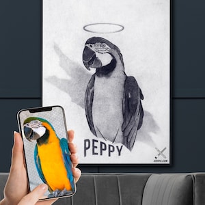 Custom Parrot Portrait, Bird Owner Gift, Pet Memorial gifts