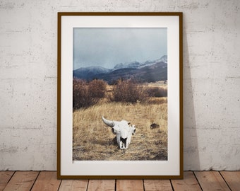 Winter Skull Print, Snow Fall, Bison, Yellowstone Nat'l Park, Wall Decor, Art Print