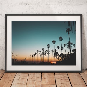Sunset and Palm Trees, Los Angeles, California, Nature Landscape Photography, Art Prints, Wall Decor image 1