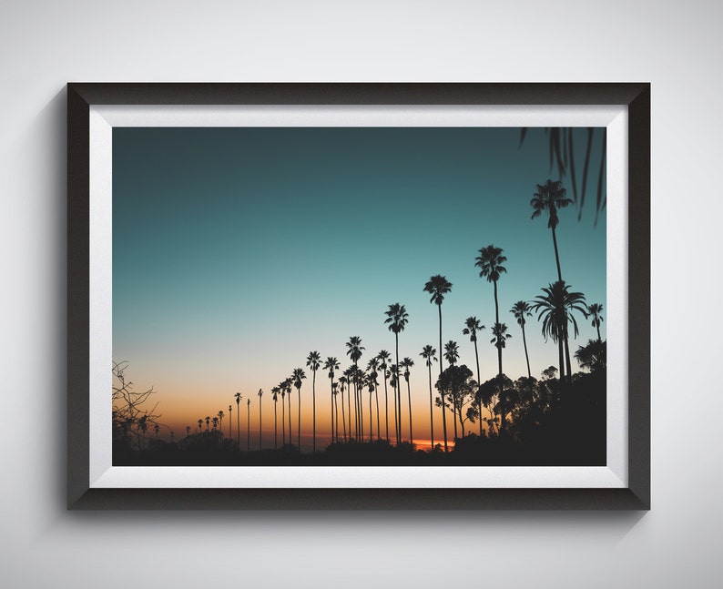 Sunset and Palm Trees, Los Angeles, California, Nature Landscape Photography, Art Prints, Wall Decor image 3