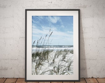 Seagrass at the beach,  Art Print, East Coast, Wall Decor, Ocean Print