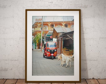 San Pedro, Guatemala, Tuc Tuc, Dogs, Art Print, Wall Decor,