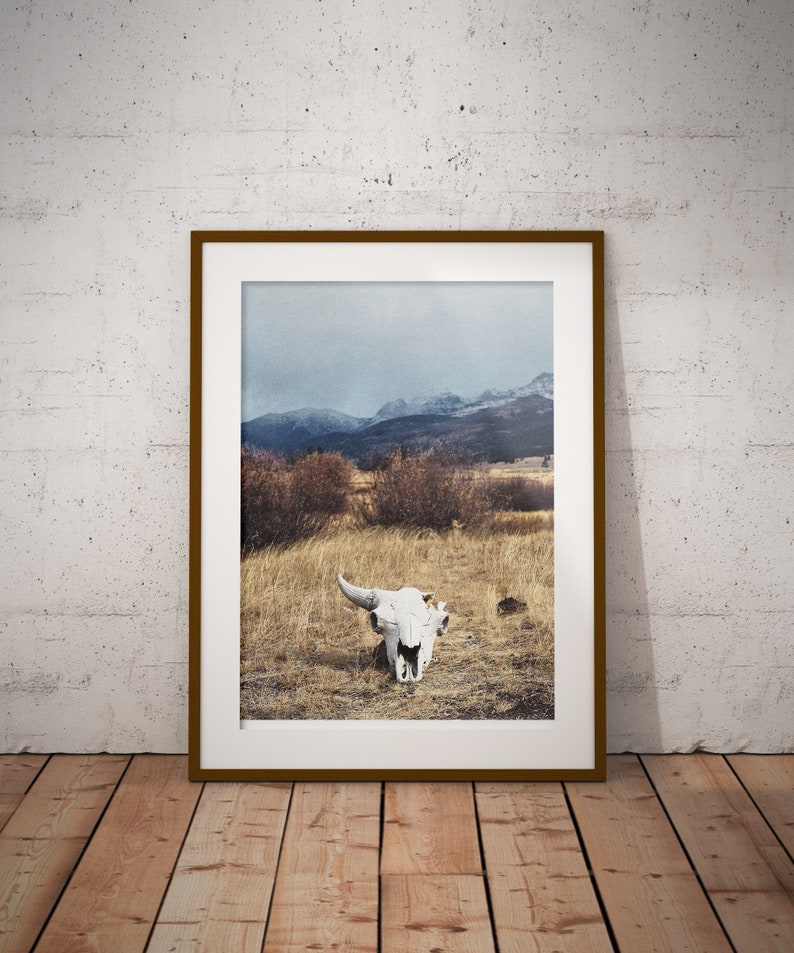 Winter Skull Print, Snow Fall, Bison, Yellowstone Nat'l Park, Wall Decor, Art Print image 1