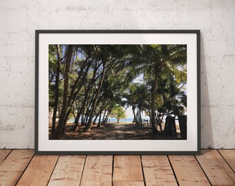 Island Life, Caye Caulker, San Pedro, Ambergris Caye,  Belize Photograph