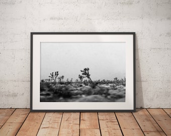 Joshua Tree, Black and White, Desert, Art Print, Grainy, Wall Art