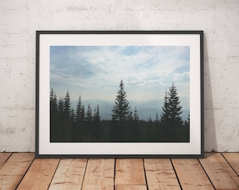 View from Mt. Shasta California, Pine Trees, Forest Art Print