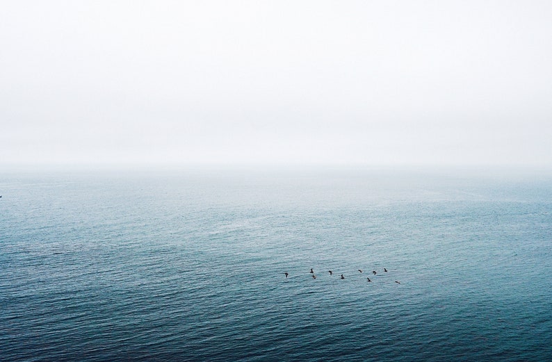 Birds Flying Over the Ocean Palos Verdes Photo Print Flying V Pelicans Ocean Photography Beach Theme Wall Art image 2