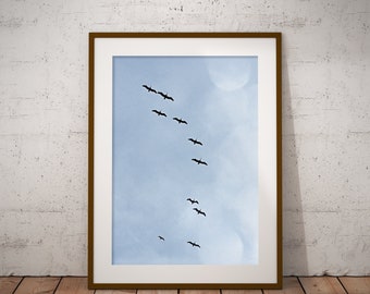 Art Print Pelicans Flying Coastal Wall Decor