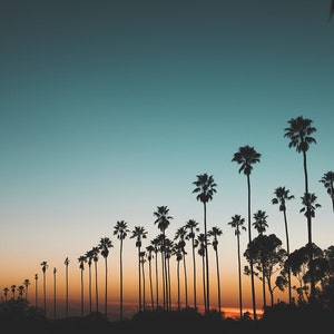 Sunset and Palm Trees, Los Angeles, California, Nature Landscape Photography, Art Prints, Wall Decor image 2