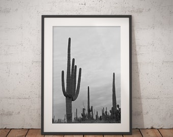 Saguaro Cactus Black and White Desert Art Print