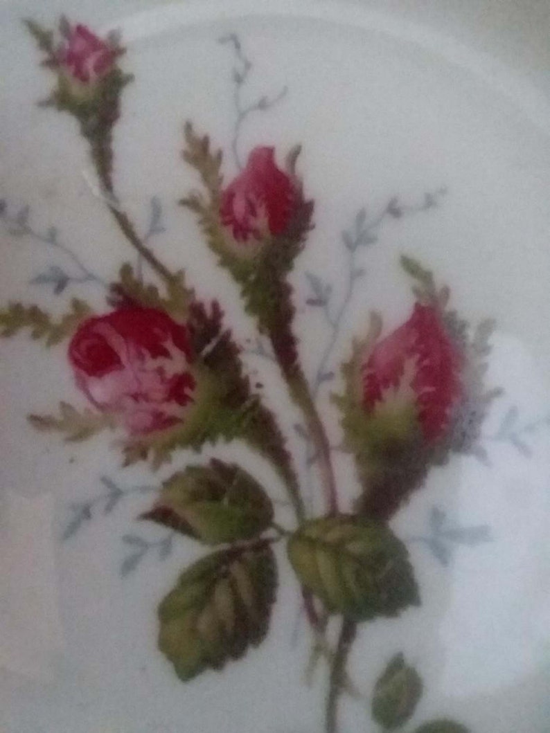Vintage Rosenthal Bahnhof Selb Porcelain and Sterling Coaster or Trinket Plate 4.25 Diameter Pink and Green Roses