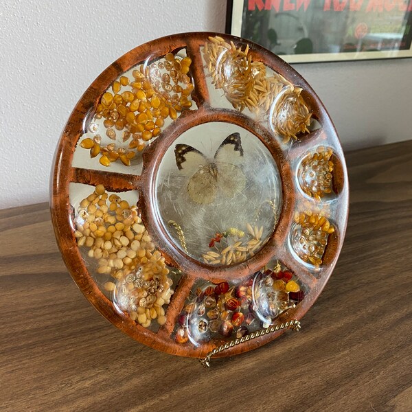 Deviled Egg Tray Etsy