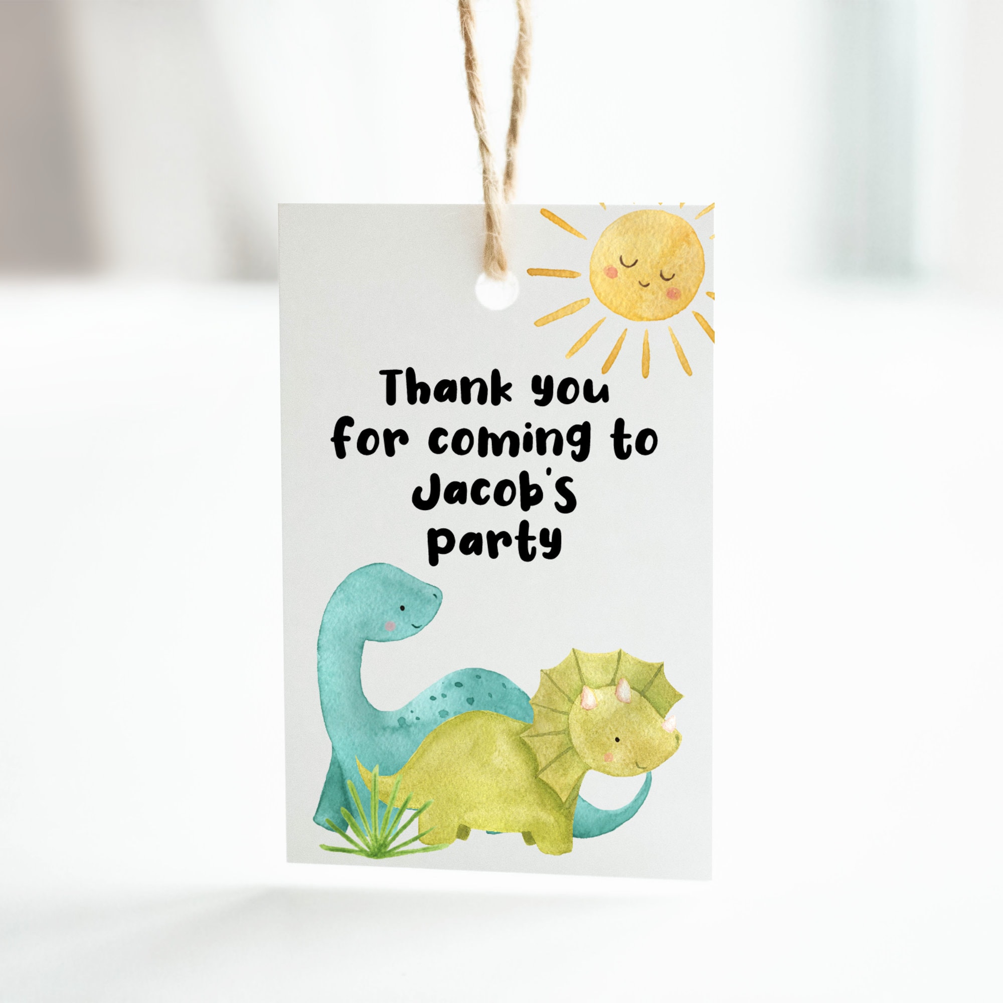 Dinosaurier Party-Set – Geschenktüten, Aufkleber, Armbänder & Mehr Für Dino-Geburtstag