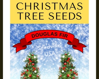 Grow Your Own CHRISTMAS TREE - Douglas Fir ( Pseudotsuga Menziesii ) Gift Packet of Tree Seeds