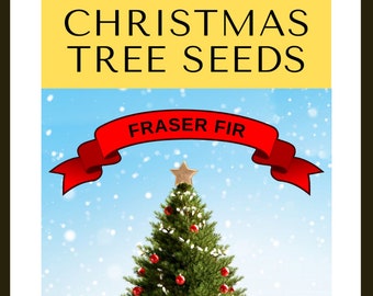 Grow Your Own CHRISTMAS TREE - Fraser Fir ( Abies Fraseri ) Gift Packet of Tree Seeds