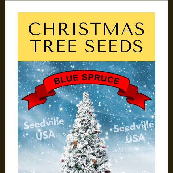 Grow Your Own CHRISTMAS TREE - Colorado Blue Spruce ( Picea Pungens Glauca ) Gift Packet of Tree Seeds