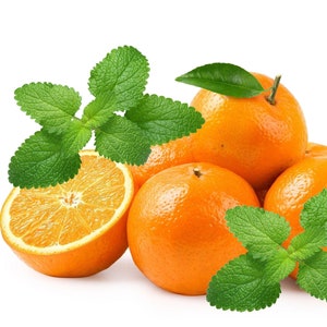 25 Orange MANDARINA BALM Mandarin Lemon Balm Melissa Officinalis Herb Seeds