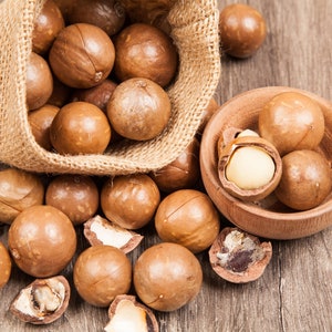 5 MACADAMIA NUT Tree Macadamia Integrifolia Brown Shell Beige Nut Fruit White & Pink Flower Seeds image 1