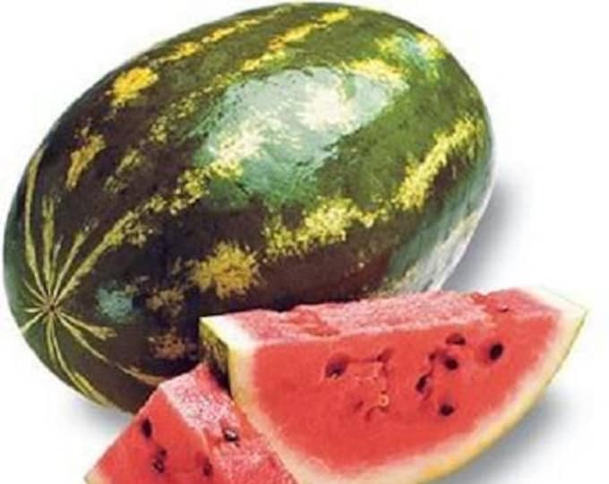 100 CRIMSON SWEET WATERMELON Citrullus lanatus Fruit Melon Seeds