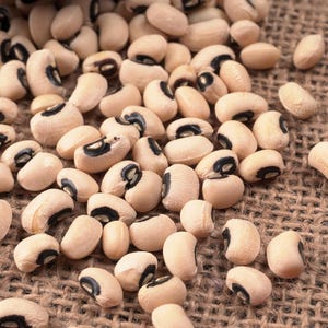 100 BLACKEYE PEA (Cow Pea / Cowpea / Southern Pea / Blackeyed Pea / Black Eye Pea) Vigna Unguiculata Vegetable Seeds