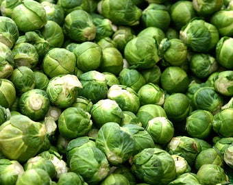 500 HEIRLOOM BRUSSEL SPROUT Brassica Oleracea Green Long Island Vegetable Seeds *Flat Shipping