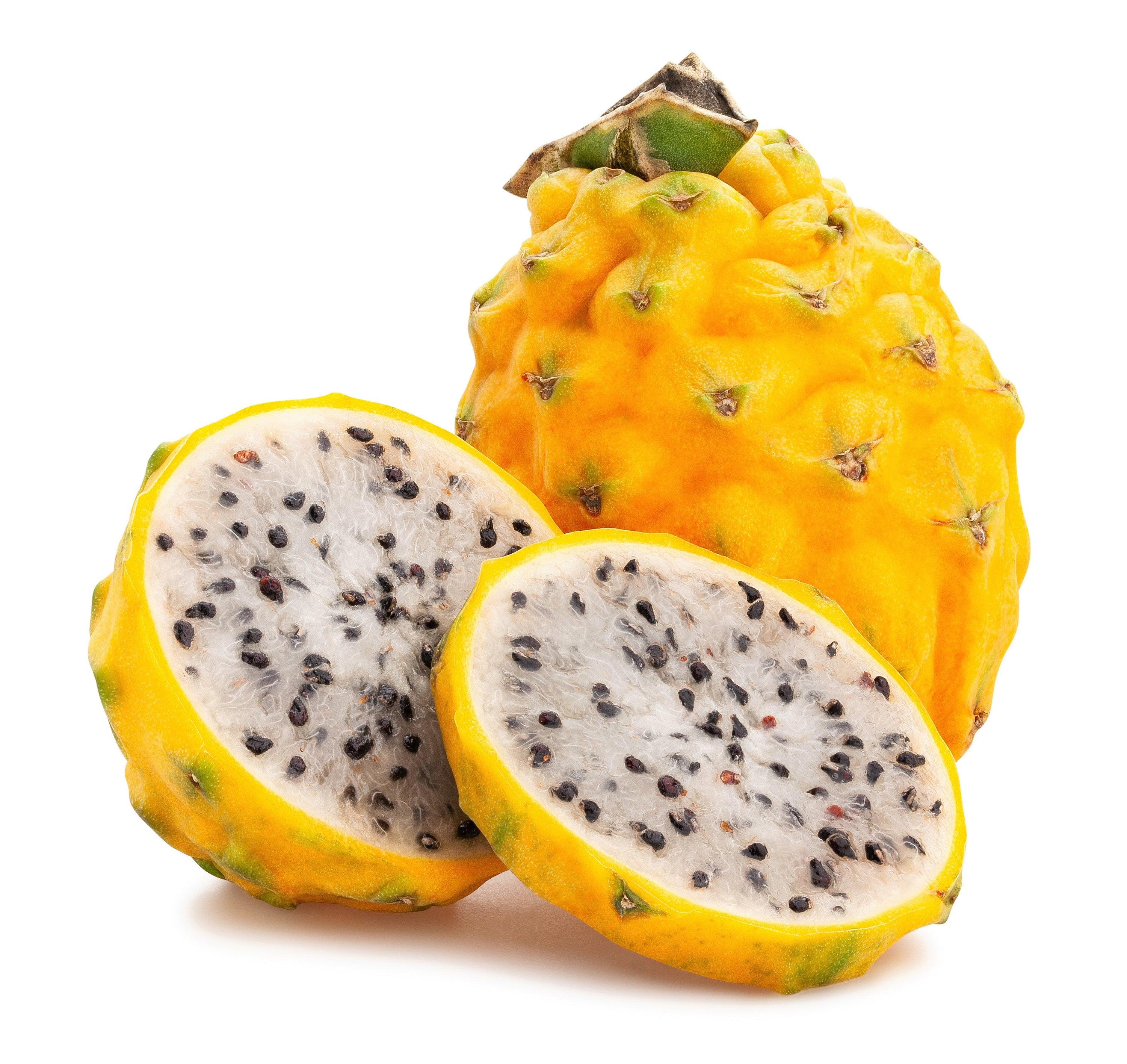 Dragon fruit american beauty - Etsy 日本