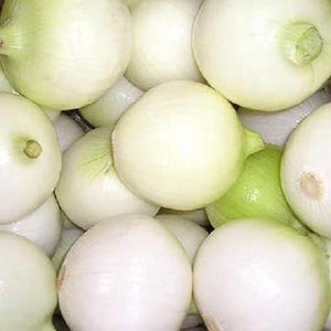 500 Crystal White WAX PEARL ONION Allium Cepa Vegetable Seeds