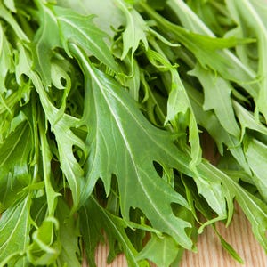 1000 GREEN MIZUNA MUSTARD Japanese Greens Brassica Juncea Herb Vegetable Seeds
