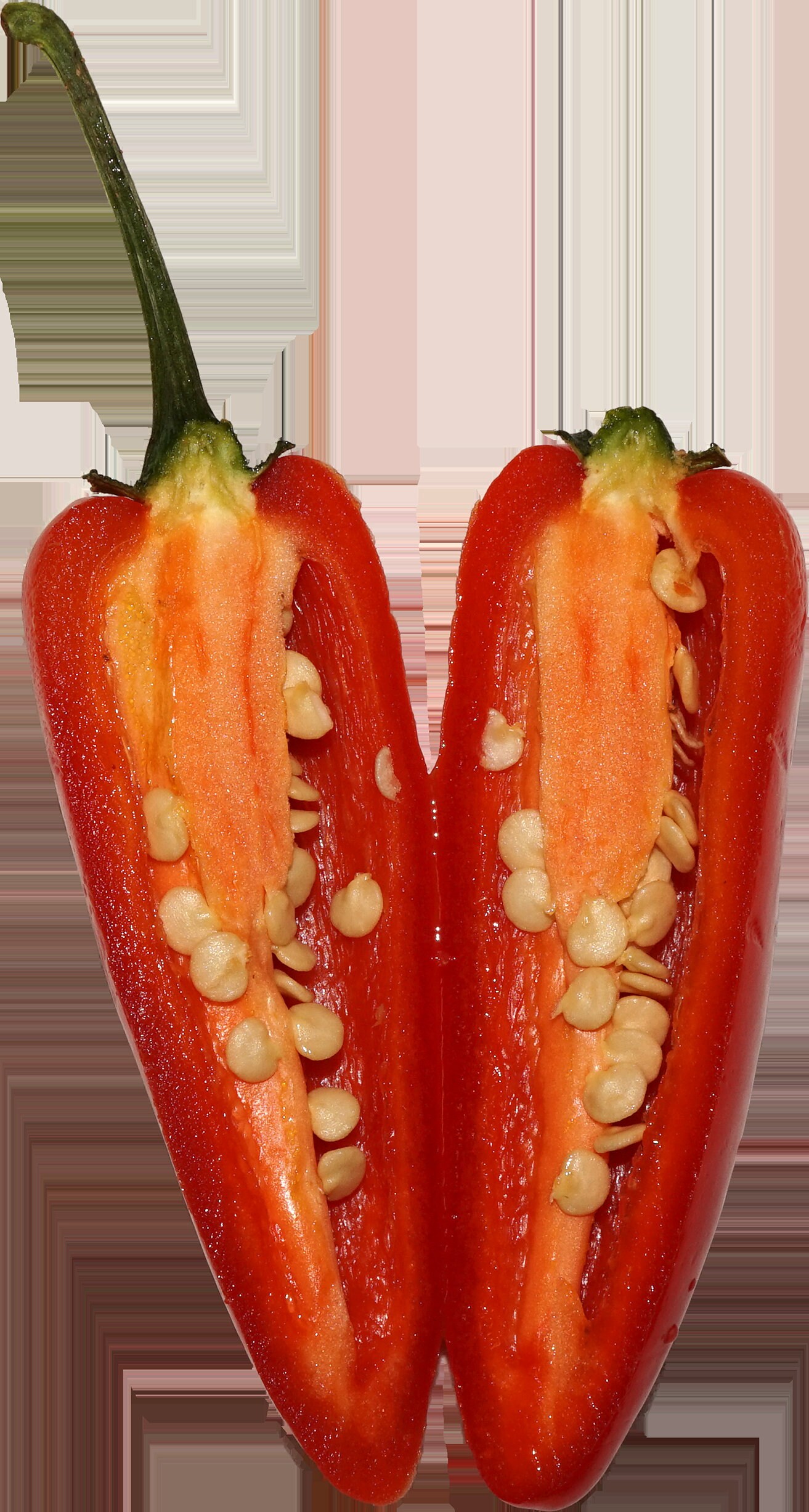 25 ORANGE JALAPENO PEPPER Capsicum Annuum Hot Spicy Vegetable Seeds