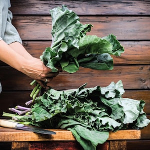 1500 MORRIS HEADING COLLARDS Collard Green Brassica Oleracea Vegetable Seeds