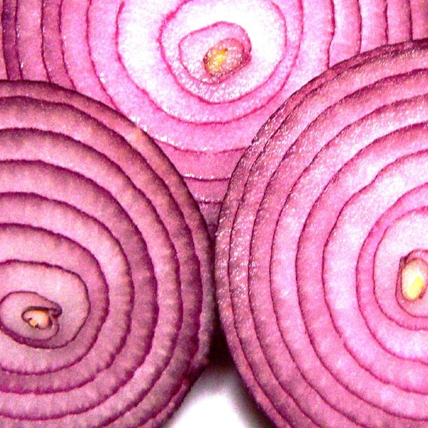 250 RED CREOLE ONION Spicy Cajun Short Day Allium Cepa Vegetable Seeds