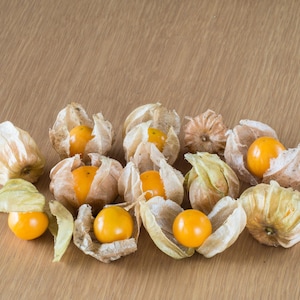 200 ekologiska malda körsbärsfrön Physalis Pruinosa (gyllene jordgubb/kinesisk lykta) *kaka S/H