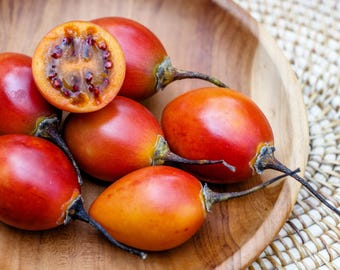 10 Sementes de TAMARILLO / TOMATE-ÁRVORE (Cyphomandra Betacea Solanum)