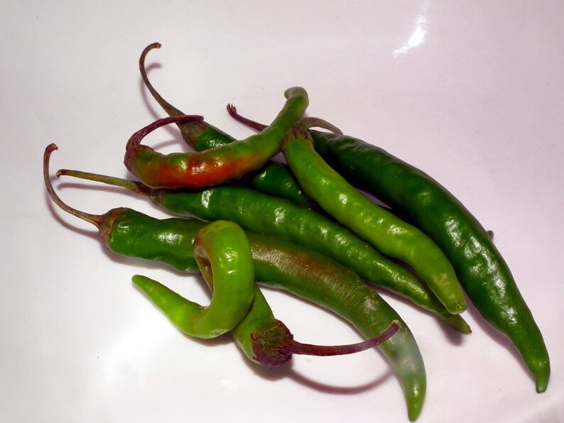 25 KOREAN Dark GREEN PEPPER Hot Chili Long Red Capsicum Annuum Etsy