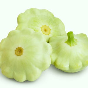 20 Grüne Tönung BUSH JAhlmuschelkürbis (Patty Pan / Paty Pan / Sqanter Squash) Sommer Cucurbita Pepo Gemüsesamen