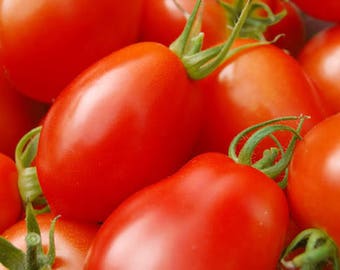 500 ITALIAN ROMA TOMATO Lycopersicon Lycopersicum Fruit Vegetable Seeds