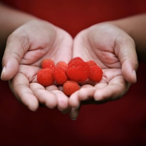 20 AUSTRALIAN RASPBERRY aka Queensland & Atherton Raspberry Rubus Probus Red Berry Fruit Shrub Seeds
