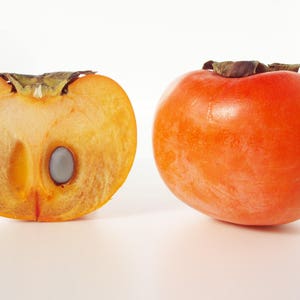 Asian Persimmon (Diospyros Kaki) In Fruit - Stock Image - C021/7993