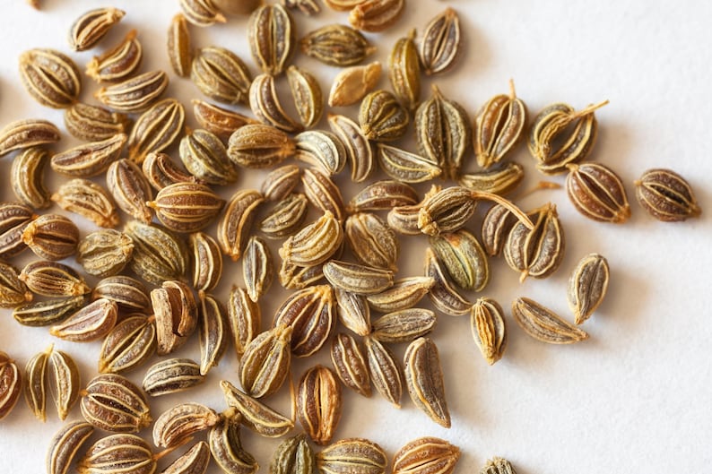 Seedville Flat Leaf Parsley Seeds - Thumbnail 4