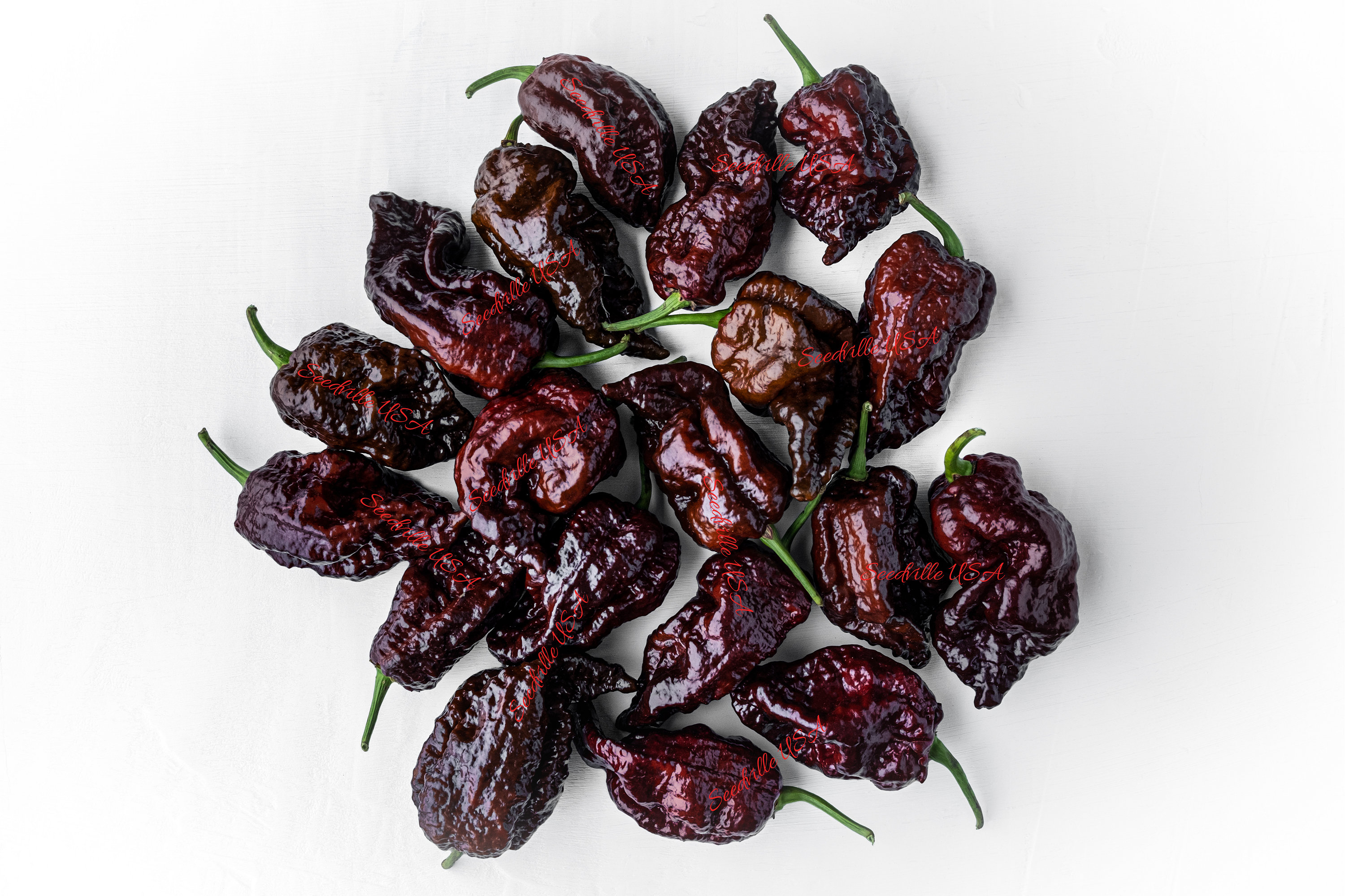 Carolina reaper pepper chocolate scoville units - tasteiwant