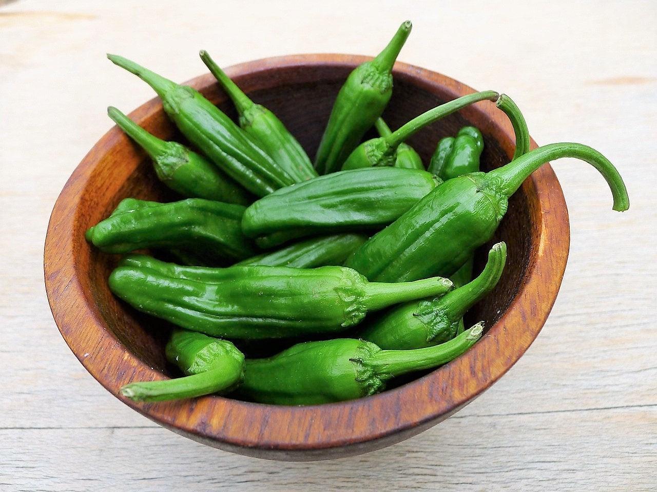 Shishito pepper plant - Etsy 日本