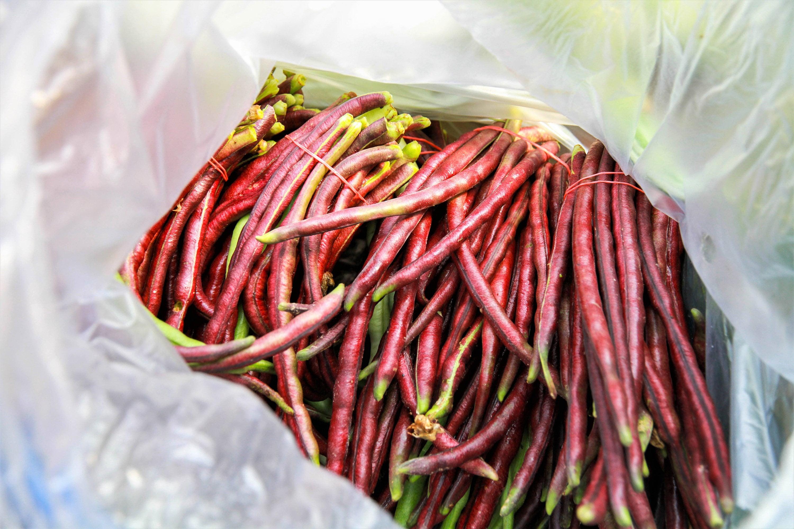 100 RED RIPPER COWPEA Cow Pea Southern Pea Vigna Unguiculata Legume ...