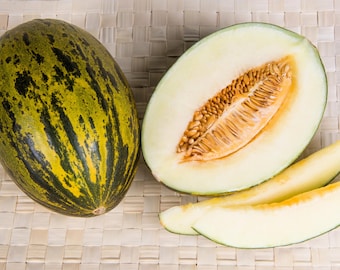 50 PIEL de SAPO MELON Santa Claus Christmas Melon Green Yellow Cucumis Melo Fruit Seeds