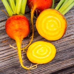 30 BURPEES GYLLENE RÖDBETA Beta Vulgaris Gula Rotfruktsfrön