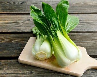 2000 カントン パクチョイ（白菜） Brassica Rapa Chinensis 野菜種子