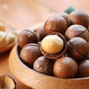 5 MACADAMIA NUT Tree Macadamia Integrifolia Brown Shell Beige Nut Fruit White & Pink Flower Seeds image 6