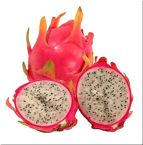 20 WHITE DRAGON FRUIT pitaya Pitahaya Strawberry Pear